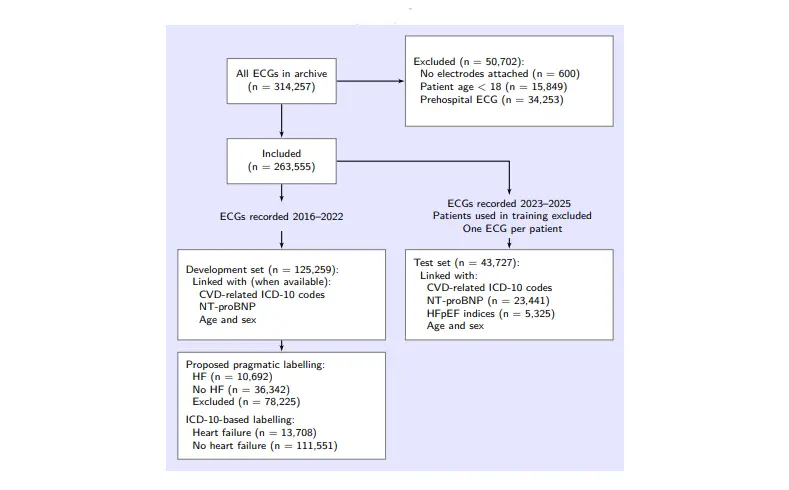 Flowchart of the ECGs used in model development and testing