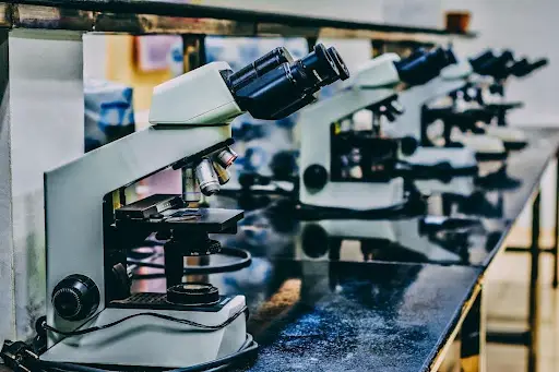 A lab setup showing 3 optical microscopes on a table